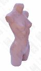 Detail produktu Figurína Torzo 3/4 těla dámské.-
