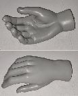 Detail produktu Torzo ruk pravá levá